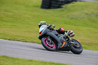 PJ-Motorsport-2019;anglesey-no-limits-trackday;anglesey-photographs;anglesey-trackday-photographs;enduro-digital-images;event-digital-images;eventdigitalimages;no-limits-trackdays;peter-wileman-photography;racing-digital-images;trac-mon;trackday-digital-images;trackday-photos;ty-croes